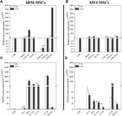 3D in-vitro cultures of human bone marrow and Wharton’s jelly derived mesenchymal stromal cells show high chondrogenic potential